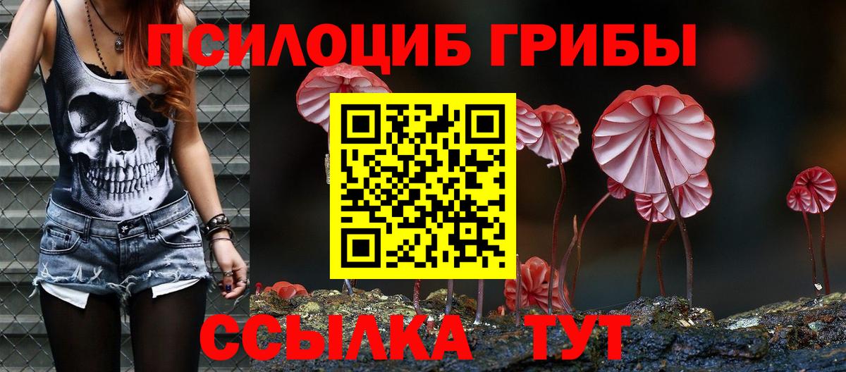 Тольятти  Галлюциногенные грибы Cubensis  Вход с VPN 